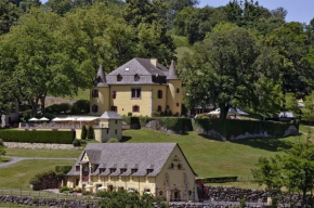 Château de Salles